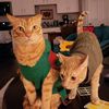 butterandtoast