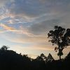 _enyn1