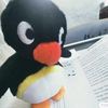 dumbpinguu