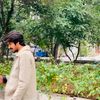 taqi_ahmad_alvi