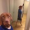 mrtornado_