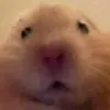 feviala