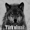 chiko343434