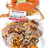 levankhang71