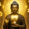 imbeo.1