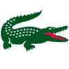 groupe de lacoste 🐊💸