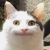 guuhgfghh__245