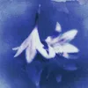 x.xei_