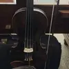 deliton_violinista