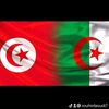 zouhirdaoudi7