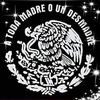 luisflores8818