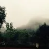 31233675361