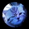 imacat78