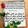 elmouttakiabderrahim