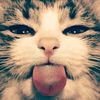 ilovesalima