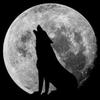 lonewolf4ever456