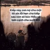dienhongk