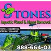 #Stones Aquatic Weed & Algae