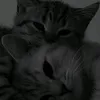 ybeute_