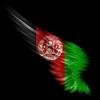 afghan_bachy