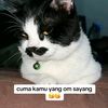 Ayolahehe