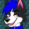 caseythehusky
