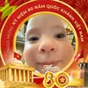 namphong388