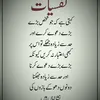 ibrahim3790371
