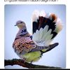 mehmet7792