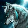 thelengendwolfs26