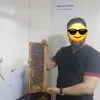 drisshassani