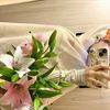 yousra2803