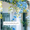 loversofhussein184
