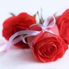 shani_ie
