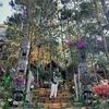 nguyenhoangphuonghien