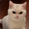 nthuuu99