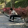 v.linh25.8