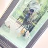 thanwa_tatae