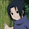 honghoinoisaturnen