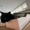 leggnuts
