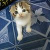 qwhfrfjyevdaj