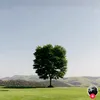 dulysby