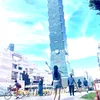 hoaduong686