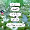 adham291
