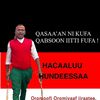 Hawi Magarsa