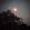 31216237697