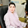 shehzadapmlnka