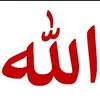 user395345290439