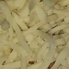 elias.1220
