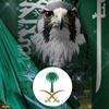 الرزين MR
